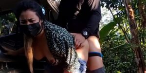 เด้าหีในป่าเห็ด